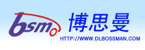 Dalian Bossman Instruments Co.,Ltd.
